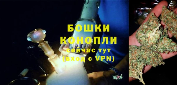 ПСИЛОЦИБИНОВЫЕ ГРИБЫ Вязники