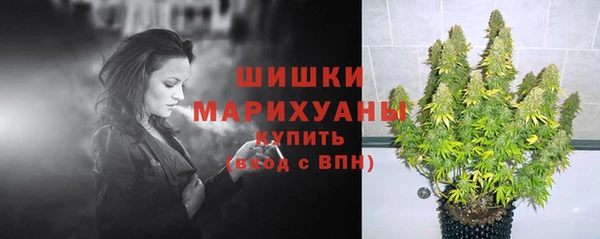 mix Анива