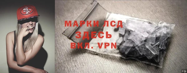 ПСИЛОЦИБИНОВЫЕ ГРИБЫ Вязники