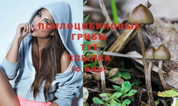 круглые Вяземский