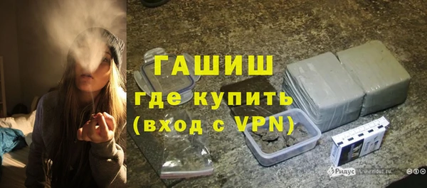 индика Апатиты