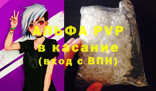 индика Апатиты