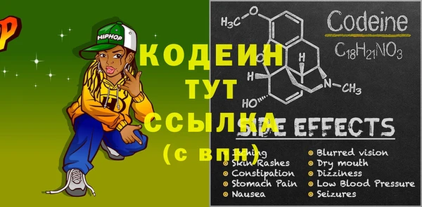 ПСИЛОЦИБИНОВЫЕ ГРИБЫ Вязники