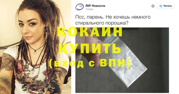 индика Апатиты
