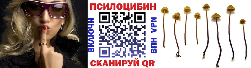 это телеграм  Гай  Псилоцибиновые грибы Magic Shrooms 